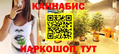 шишки Абакан