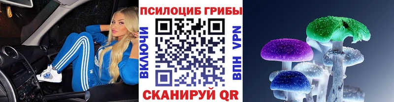Галлюциногенные грибы MAGIC MUSHROOMS  Лесной 