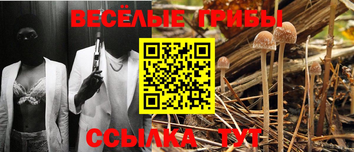 Галлюциногенные грибы прущие грибы  Лесной 