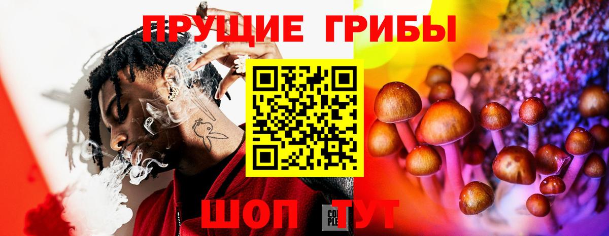 Лесной  Галлюциногенные грибы прущие грибы  Вход с VPN 