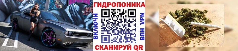 shop телеграм  Лесной  Шишки марихуана Ganja 